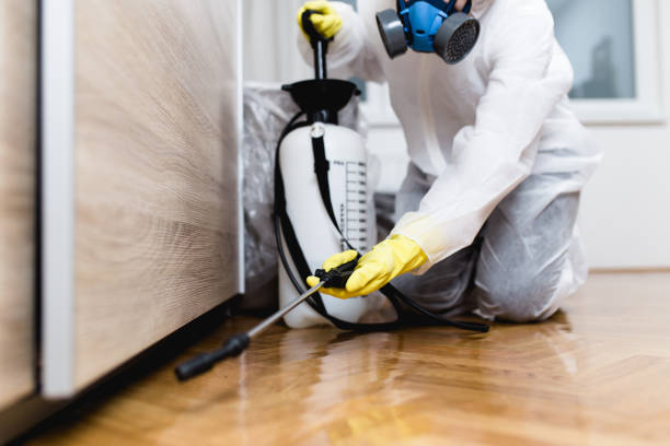 Best Rat Extermination Near Me  in Eustace, TX