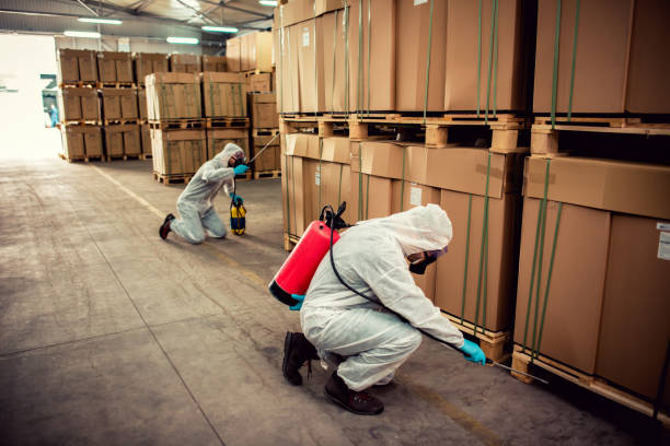 Best Mosquito Control Services  in Eustace, TX