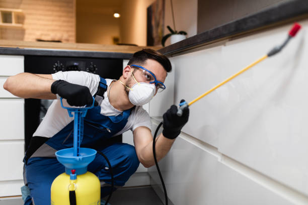 Wasp Removal Services in Eustace, TX
