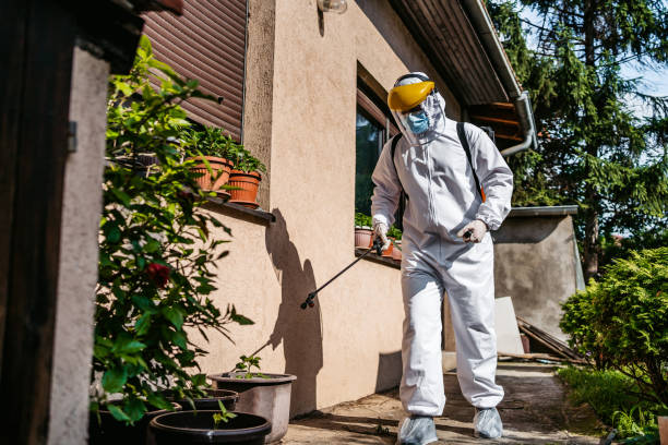 Best Residential Pest Control  in Eustace, TX