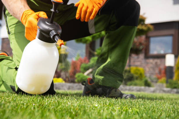 Best Exterminator Services  in Eustace, TX