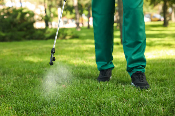 Best Mosquito Control Services  in Eustace, TX