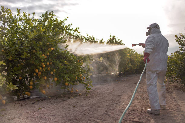 Best Wildlife Control Services  in Eustace, TX
