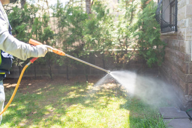 Best Spider Control Near Me  in Eustace, TX