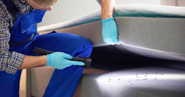 Best Pest Control Near Me  in Eustace, TX