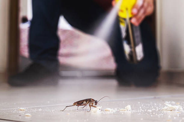 Best Pest Prevention Services  in Eustace, TX