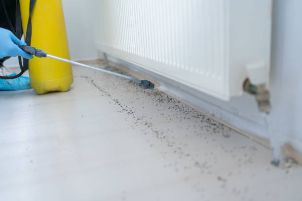 Best Cockroach Control Services  in Eustace, TX