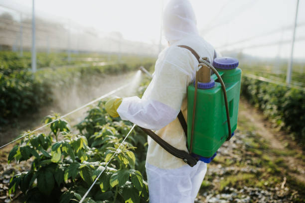 Best Wasp Removal Services  in Eustace, TX
